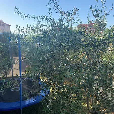 Apartament Ulika - 3 For 4 Persons Pula