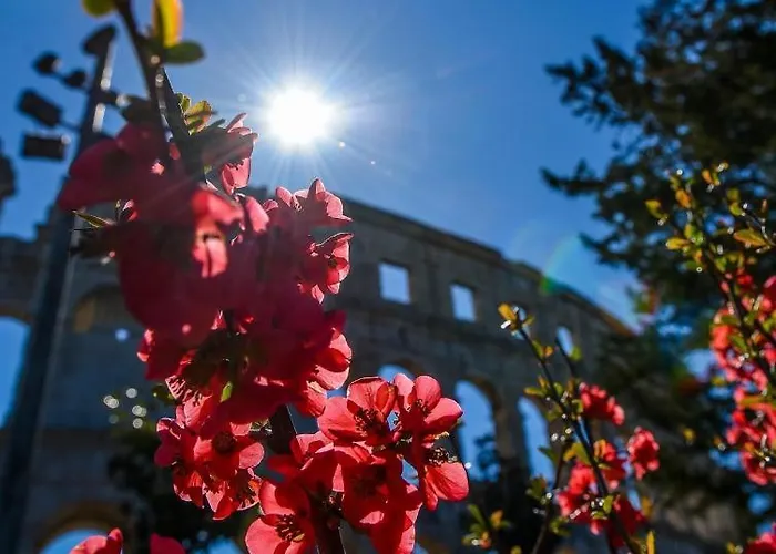 Ulika - 3 For 4 Persons Pula